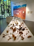 Pauline Fraser’s “Contemplating Nature” at the Benalla Art Galle