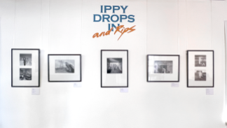 The "Ippy Drops In and Rips" installation 3 Photo:John Elliott