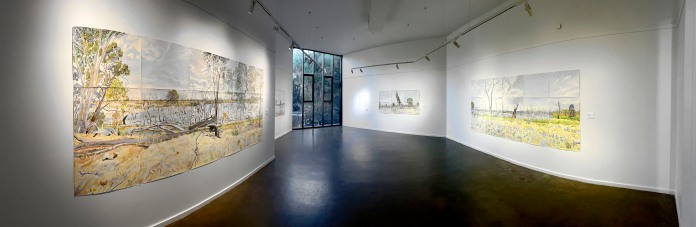 Benalla Art Gallery - Mark Dober's "Wetlands"